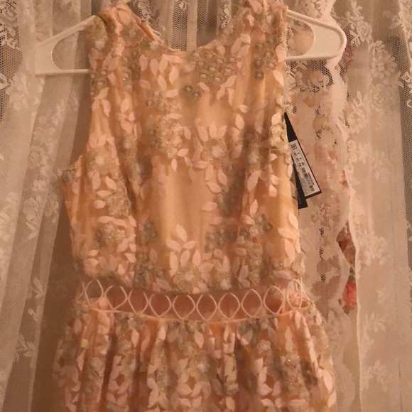 Elegant peach lace tool lined dress - Picture 2 of 6